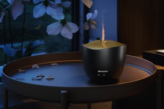 Sharp DF-A1E-B - aranżacja dyfuzora