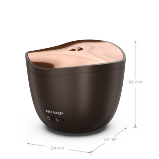 Sharp DF-A1E-T - wymiary