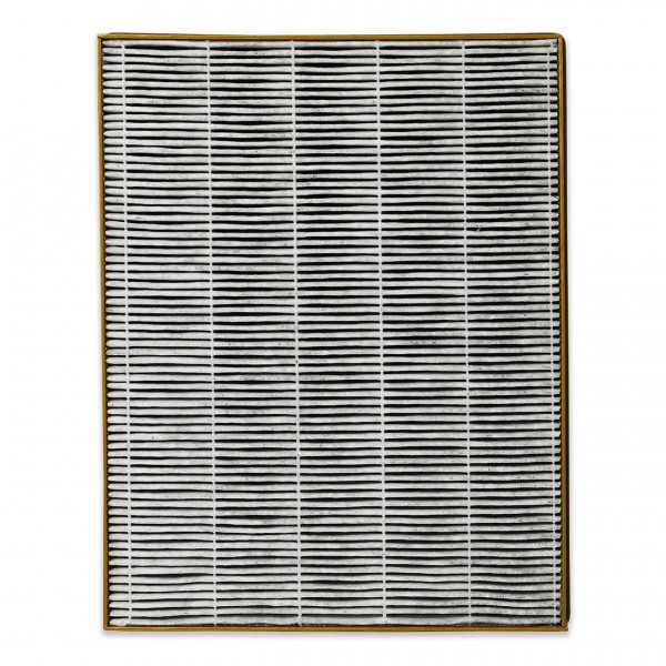 Filtr do oczyszczacza TOSHIBA CAF-Z123XPL