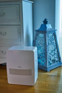 Stylies Helos - aranżacja nawilżacza