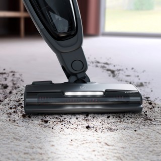 Electrolux Animal 600 Pure - odkurzanie dywanu