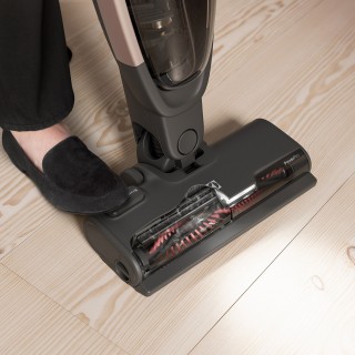 Electrolux Pure 600 Wet ES62P25WET - BrushRollClean