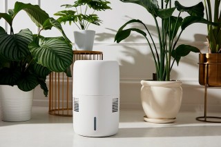 Klarta Humea WiFi - aranżacja nawilżacza w kolorze białym