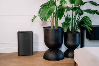 Sharp UA-KIN42E-H - aranżacja oczyszczacza w pokoju