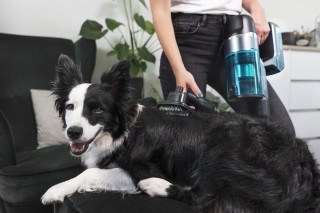 Concept VP6130 - szczotka do wyczesywania sierści podczas działania