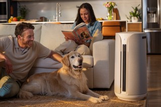 Blueair ComfortPure 3-in-1 T10i - zdjęcie lifestyle