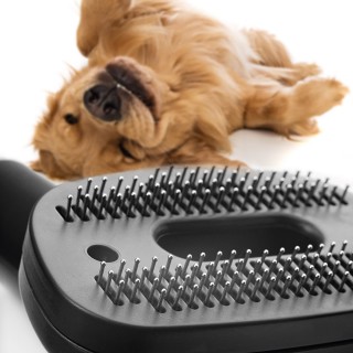 Concept VP5240n 4A Radical Pet Expert - szczotka do sierści zwierząt