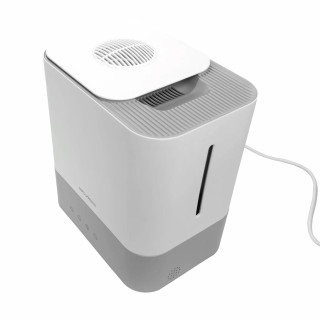 Stylies Astra - widok bokiem